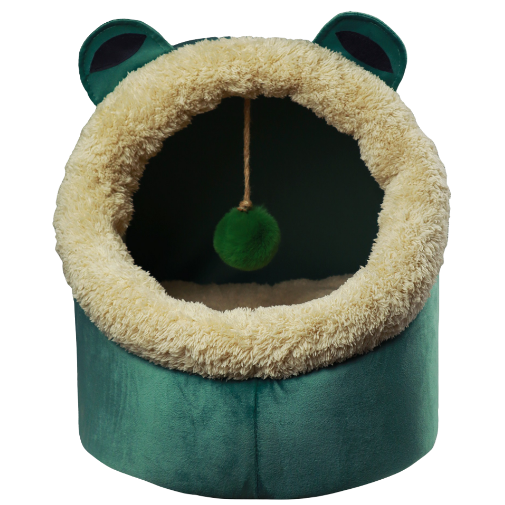 Petmoda Cat House Bed Frog 50Cm