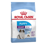 Royal Canin Giant Puppy Dog Dry Food 3.5 Kg Petfast.shop Royal Canin Dog Dry Food Exclude Food Puppy petfast.shop Egypt PRO4774S Default Title 2430.00