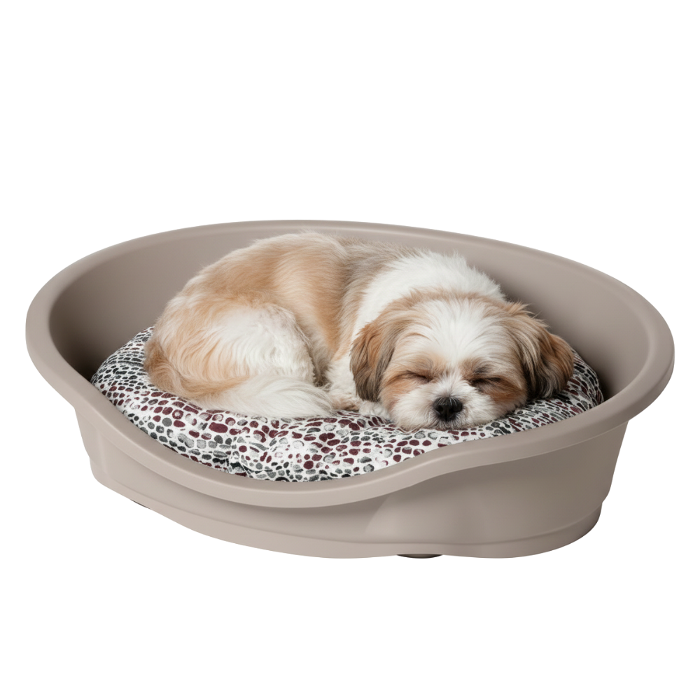 Imac Dido 65 Cozy Corner For Pets With Bed 22 Cm * 65 Cm Petfast.shop IMac Carriers & Travel Accessories Cat Dog Supplies petfast.shop Egypt PIM5928S Green 1350.00