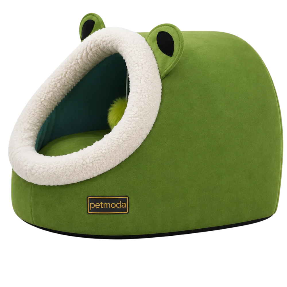 Petmoda Cat House Bed Frog 50Cm