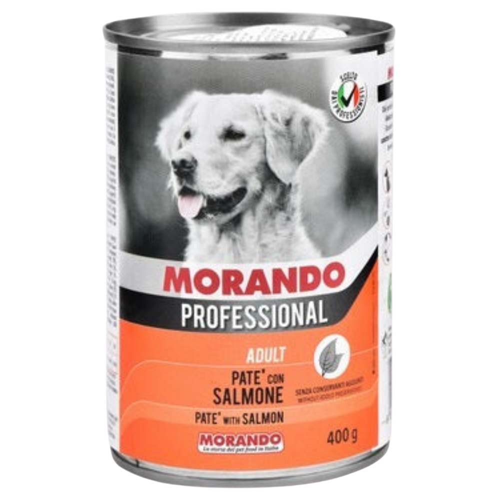 Morando Professional Pate Wet Food For Adult Dogs Salmon 400 G Petfast.shop Morando Dog Food Wet Food petfast.shop Egypt 80.00