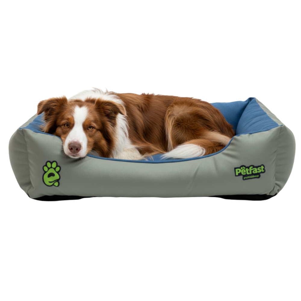 Petfast Bed Winter & Summer Size Large(80*60Cm) Petfast.shop PetFast bed Dog Senior Summer Supplies petfast.shop Egypt PPE4934S Blue 1200.00