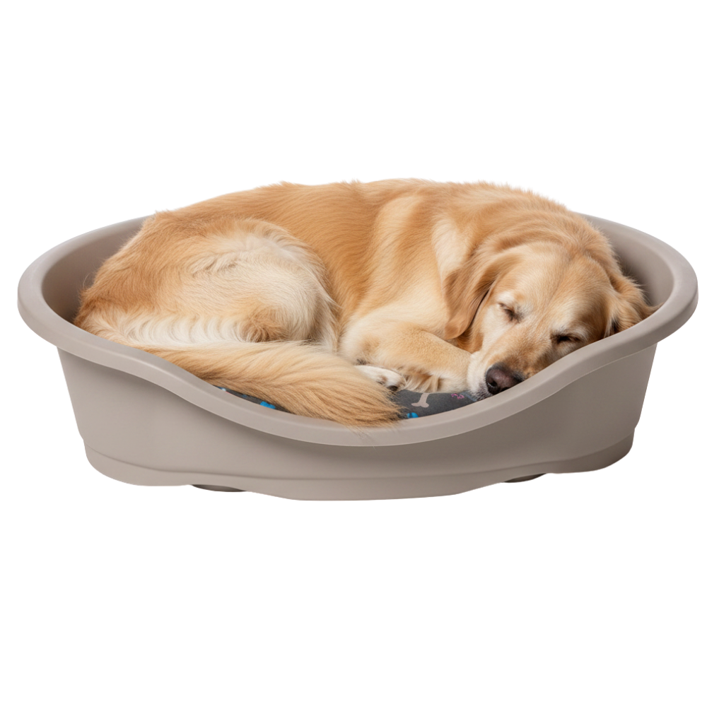 Imac Dido 110 Cozy Corner For Pets With Bed 32 Cm * 110 Cm Petfast.shop IMac Carriers & Travel Accessories Cat Dog Supplies petfast.shop Egypt PIM5924S Green 2500.00