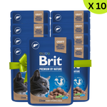 BUY 9 + 1 FREE Brit Wet Food for Cat Sterilised Liver 100g Petfast.shop Brit Bundles Cat Exclude Food Wet Food petfast.shop Egypt 405.00