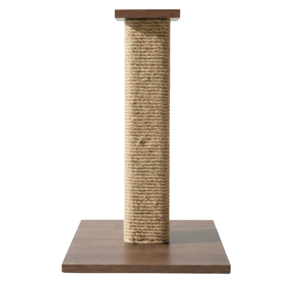 Petmoda Cat Moda Pillar Mini Size 60*40 Cm Petfast.shop Petmoda Cat Supplies Trees- Condos & Scratchers petfast.shop Egypt PPE5306S Default Title 1000.00