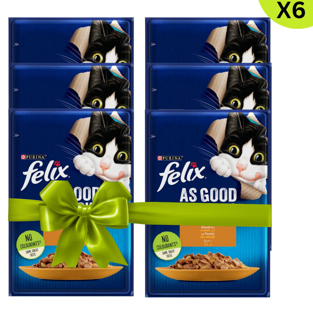 BUY 5 + 1 FREE Felix Chicken in Jelly Wet Cat Food Pouch 85g Petfast.shop Felix Bundles Cat Exclude Food Wet Food petfast.shop Egypt PBU6020S Default Title 275.00