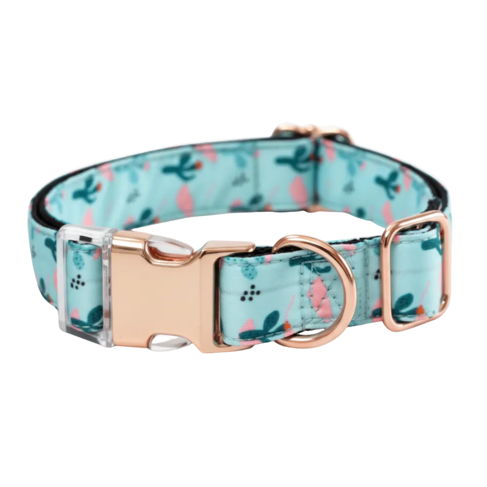 Naomi collar Size Medium Petfast.shop Naomi Dog Leash & Coller & Harness Supplies petfast.shop Egypt PNA2317S200.00
