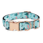 Naomi collar Size Medium Petfast.shop Naomi Dog Leash & Coller & Harness Supplies petfast.shop Egypt PNA2317S200.00