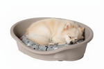Small Dog Sleeping in Beige Bed