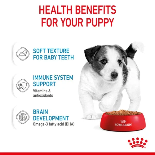 Royal Canin Wet Food Mini Puppy in Gravy Pouch 85 g