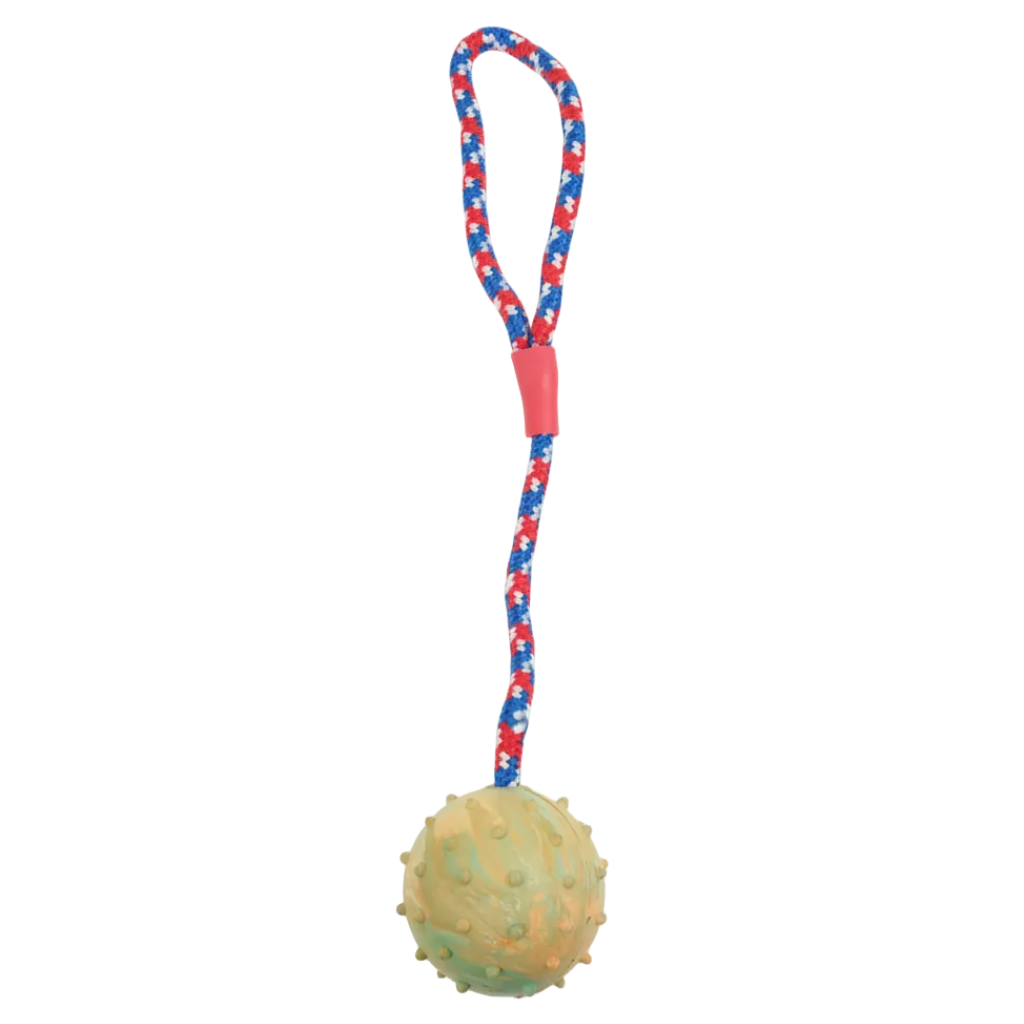 Dog Ball with Rope Toy