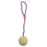 Dog Ball with Rope Toy