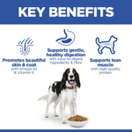 Hill's Science Plan Medium Adult Dog with Chicken Petfast.shop Hill's Dog Dry Food Food Prescription Food petfast.shop Egypt2.5Kg 1490.00