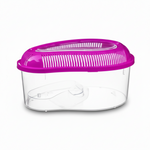 Turtles Plastic Tank Petfast.shop Generic Exclusive Small pet petfast.shop EgyptSmall / Green 150.00
