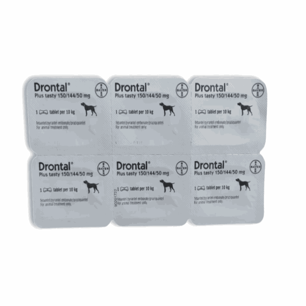 Packaging of Drontal Plus tablets for dogs on a white background