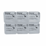 Packaging of Drontal Plus tablets for dogs on a white background