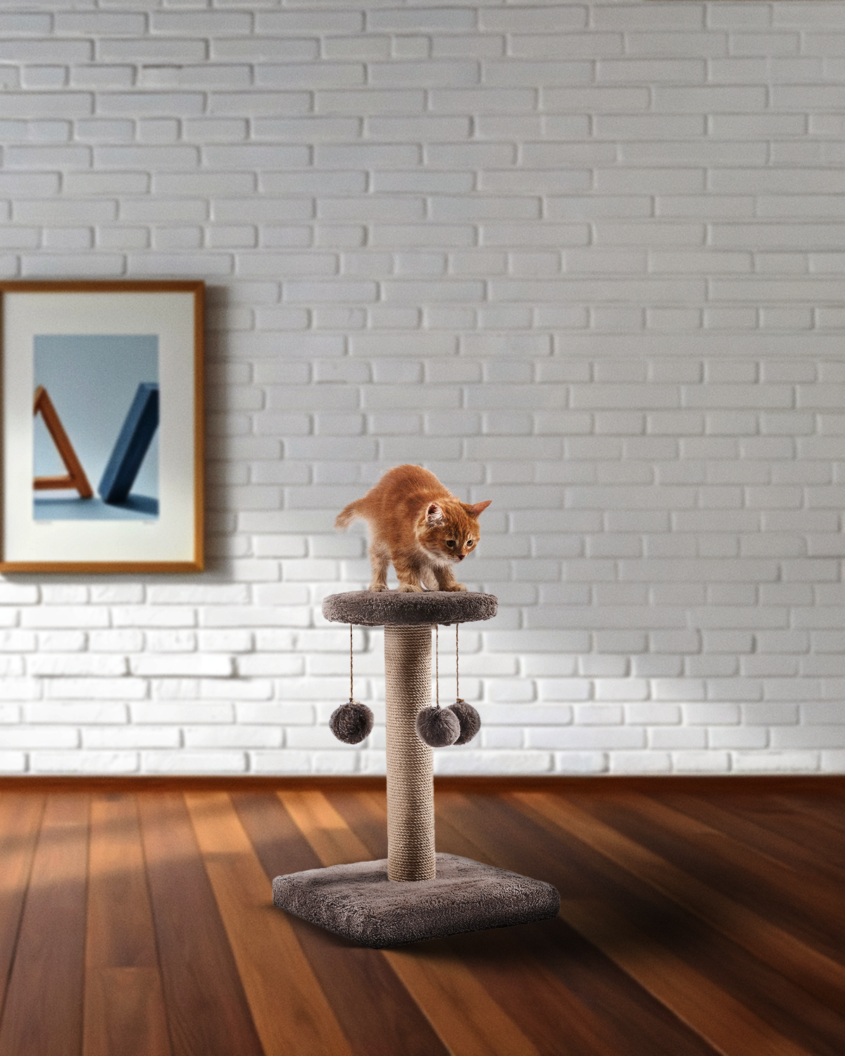 Scratch For Cats Medium 65 Cm*40 Cm