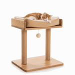 Cat resting on a wooden cat tree with a cushion on a white background