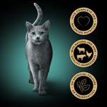 Gray cat with decorative elements on a dark green background