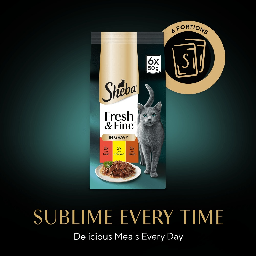 Sheba Fresh & Fine cat food package on a dark background