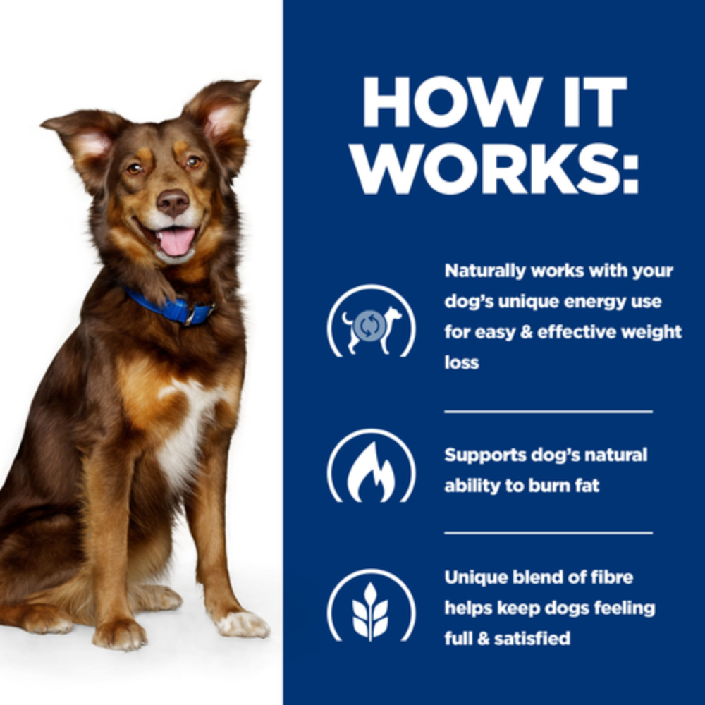 Hill's Prescription Diet Metabolic Wight Loss & Maintenance Dog Food with Chicken 4Kg Petfast.shop Hill's Dog Dry Food Food petfast.shop EgyptDefault Title 3640.00
