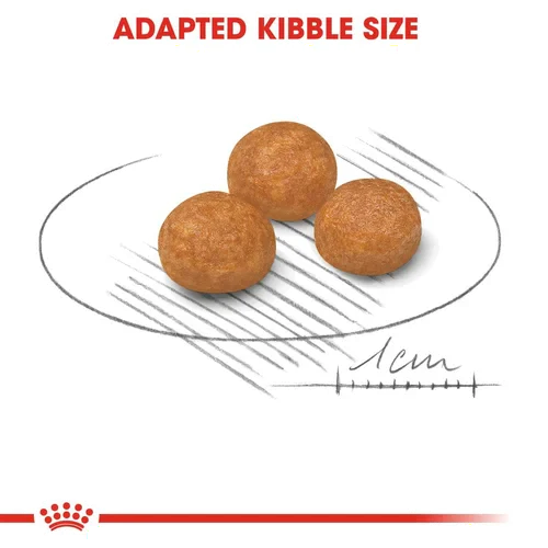 Royal Canin X-Small Breed Adult Dog Food 1.5kg.