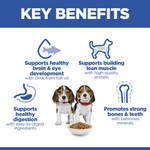 Hill's Science Plan Medium Breed Puppy Food with Chicken Petfast.shop Hill's Dog Dry Food Food petfast.shop Egypt2.5Kg 1700.00