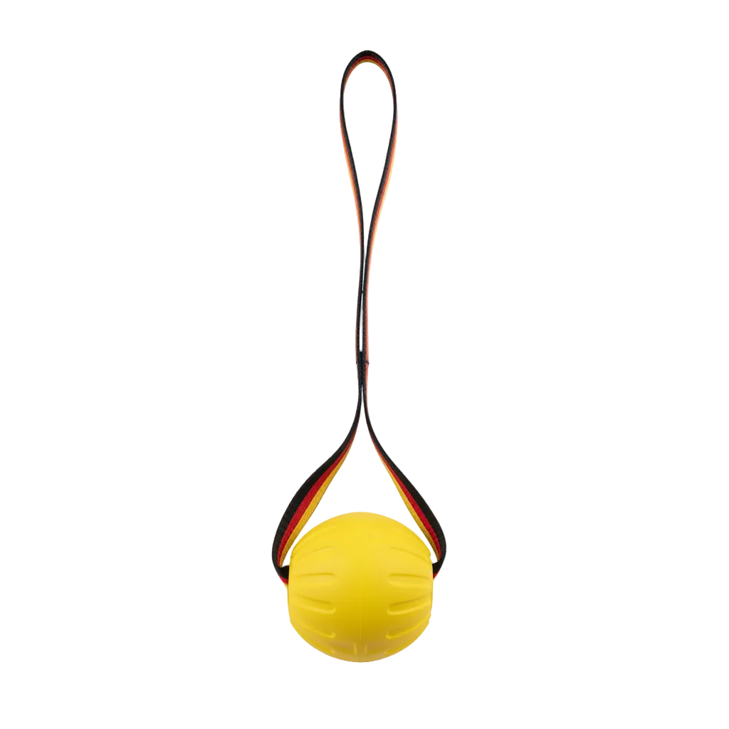 Yellow rubber disc with striped strap toy white background