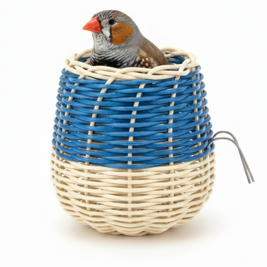 Zebra Finch in Woven Nest